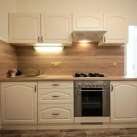 Family Duplex On Wenceslas Square * براغ
